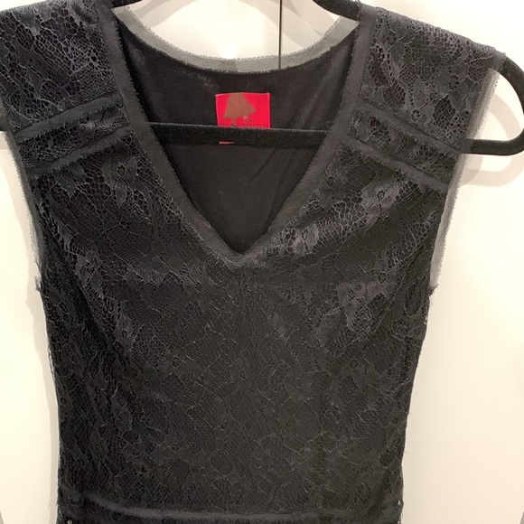 -Juliette Longuet lace dress. Size 4 Like new. Side zip. French designer. - Picture 9 of 10